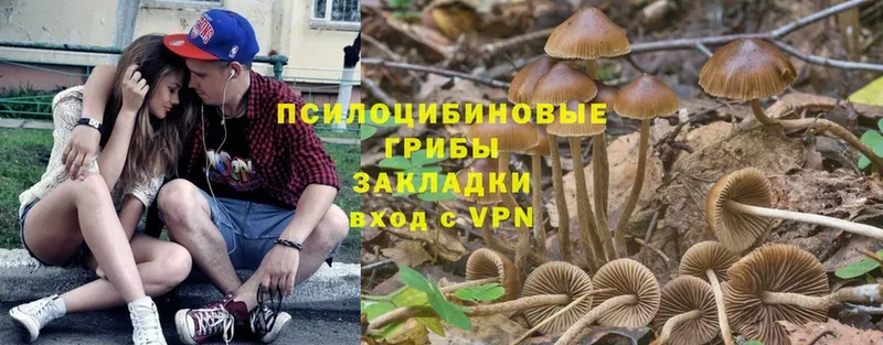 Галлюциногенные грибы Magic Shrooms  Алушта 